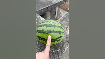 Experiment: Will cantaloupe and watermelon explode if they roll down from a tall building?#shorts