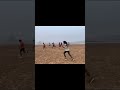 Settle run #army #viralvideo #sports #reels #trending #sorts #atheletics #motivation #running