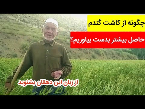 تصویری: چه موقع محصولات زراعی باید کاشته شوند؟