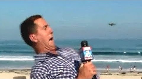 BUGS TROLLING people! 🕷 FUNNIEST FAILS and REACTIONS - You