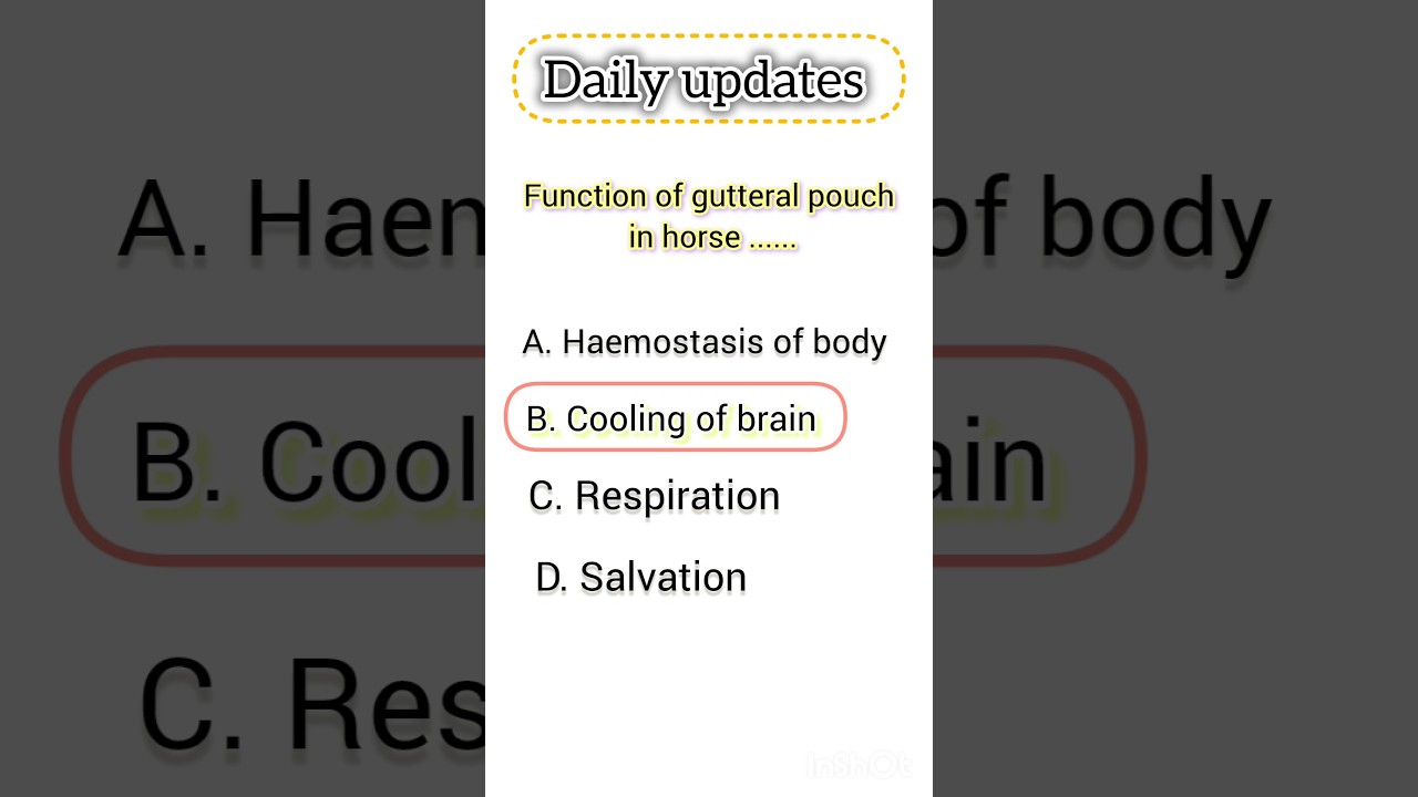 horse anatomy MCQ - equine - gutteral pouch 
