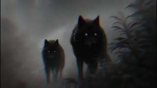 Godzilla x Black Wolf – Enight, Sam47 & Khyal | Rebuilt Version