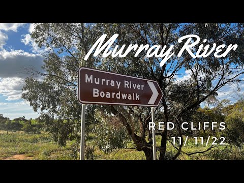 Murray River Boardwalk Red Cliffs 11/11/22