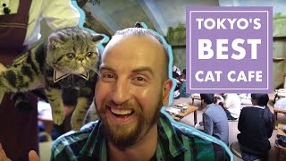 Tokyo's Best Cat Cafe