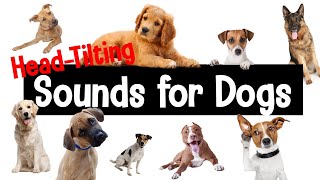 Sounds for Dogs | Head-Tilting Sounds Your Dog Will Love