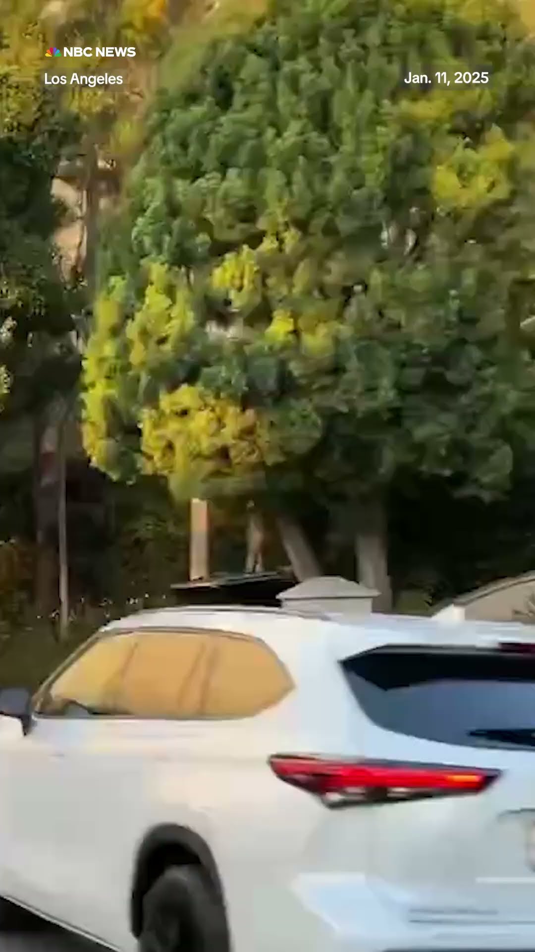 Pacific Palisades residents line up in their cars for hours to check on their homes