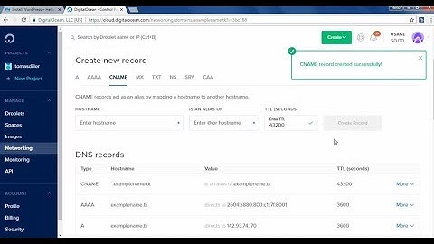 WordPress Set DNS records in Digital Ocean