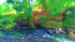 Soft River Harmony – Sleep, Relaxation & Positive Mindset
