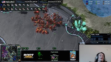 ZvT Analysis: Ling/Bane/Hydra Guide