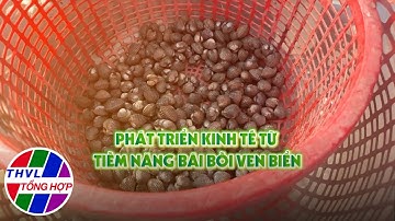 Nông nghiệp bền vững: Phát triển kinh tế từ tiềm năng bãi bồi ven biển