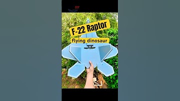 DIY RC F22 Raptor Made from Cardboard – Will It Fly?