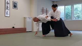 Aikido soft way training skills screenshot 4
