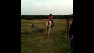 IMG 1073