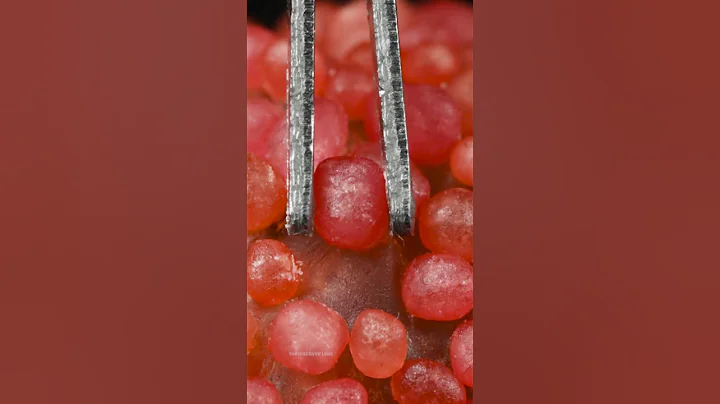 Plucking Jelly Berries  Ultra Close Up ASMR thumbnail