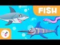 Fish for kids - Vertebrate animals - Natural Science For Kids