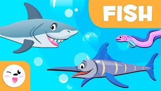 Fish for kids - Vertebrate animals - Natural Science For Kids