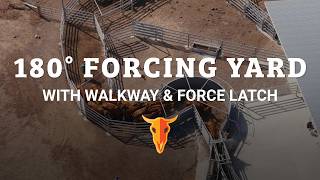Cattle Handling Solutions - 180 Forcing Yard with Walkway and Force Latch