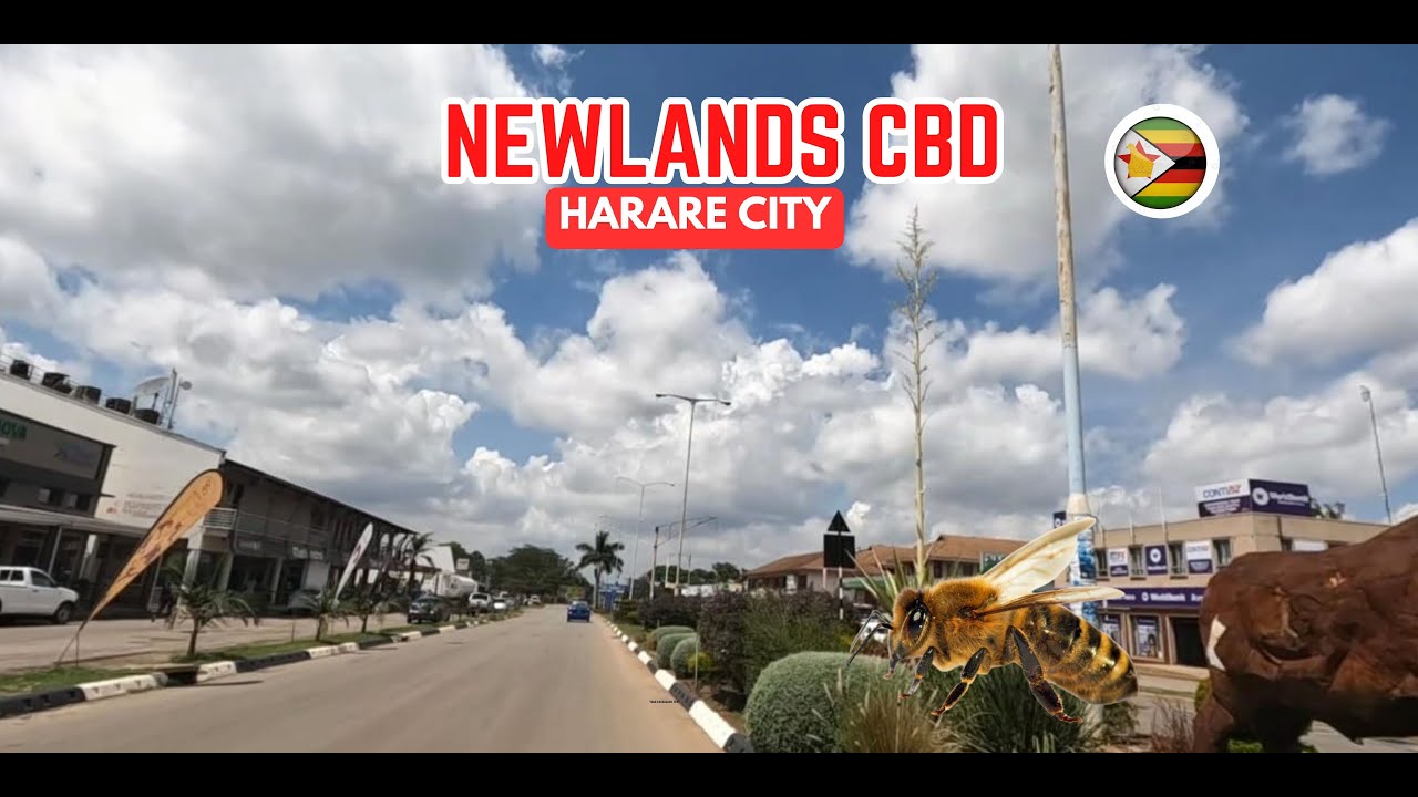 Newlands Shopping Walking Tour, Harare, Zimbabwe YouTube