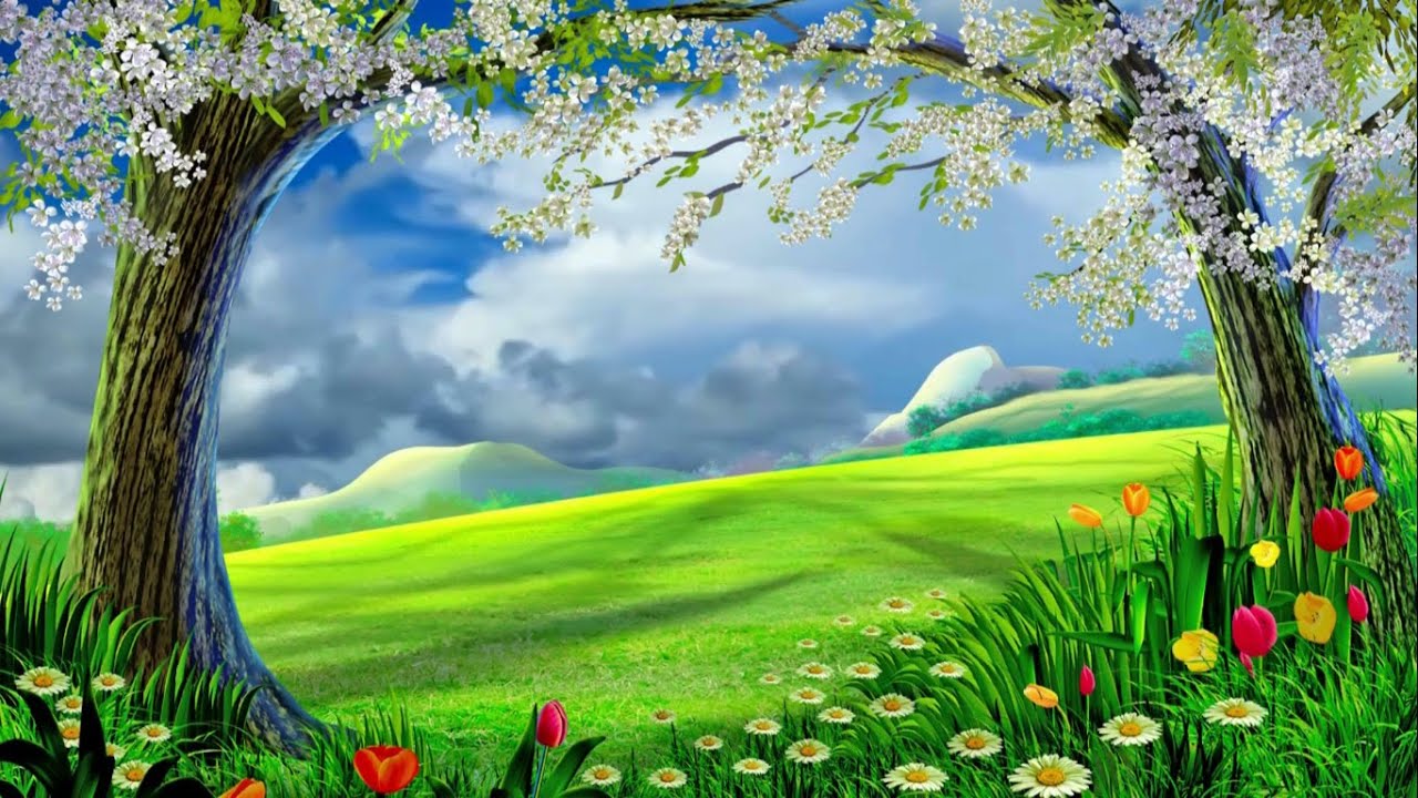 Nature Background Photos / Https Encrypted Tbn0 Gstatic Com Images Q
