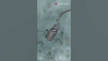 Nanotechnology in Medicine: Tiny Tools, Big Impact