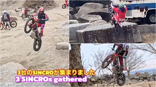 3台のSINCROが集まりました3 SINCROs gathered