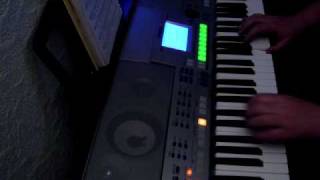 Video thumbnail of "Mexico - Die Flippers - auf Yamaha PSR S-500"