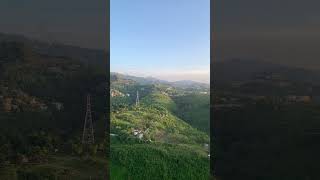 #overview