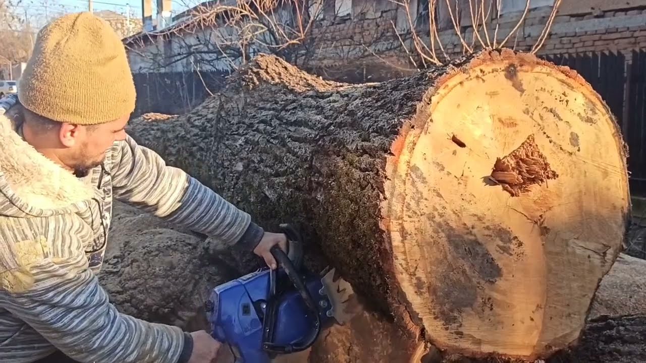 China 5800 cu Holzfforma g660 la taiere