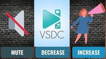 How To Mute Increase OR Decrease Audio Part Of Video In VSDC 🔥