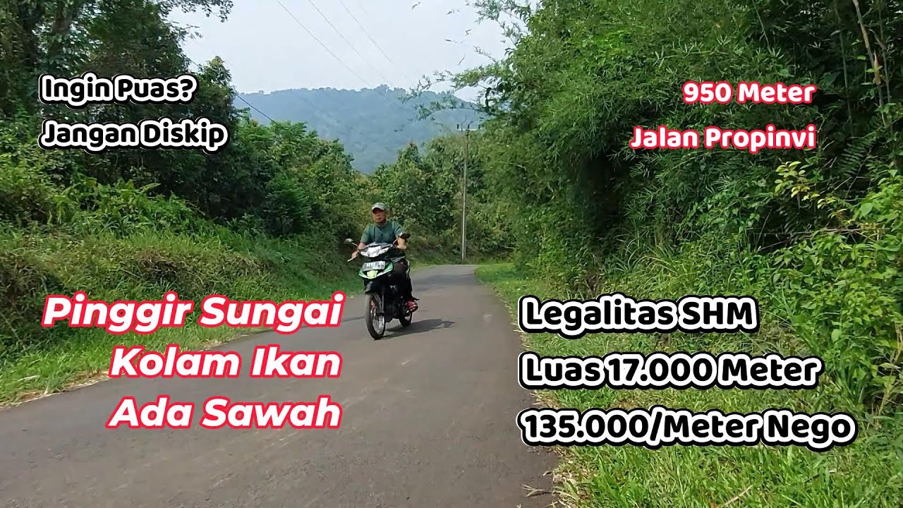 Villa Dijual di Bogor‼️ Tanah Luas Pandangan Lepas . Privasi Jalan Gerbang Sendiri 