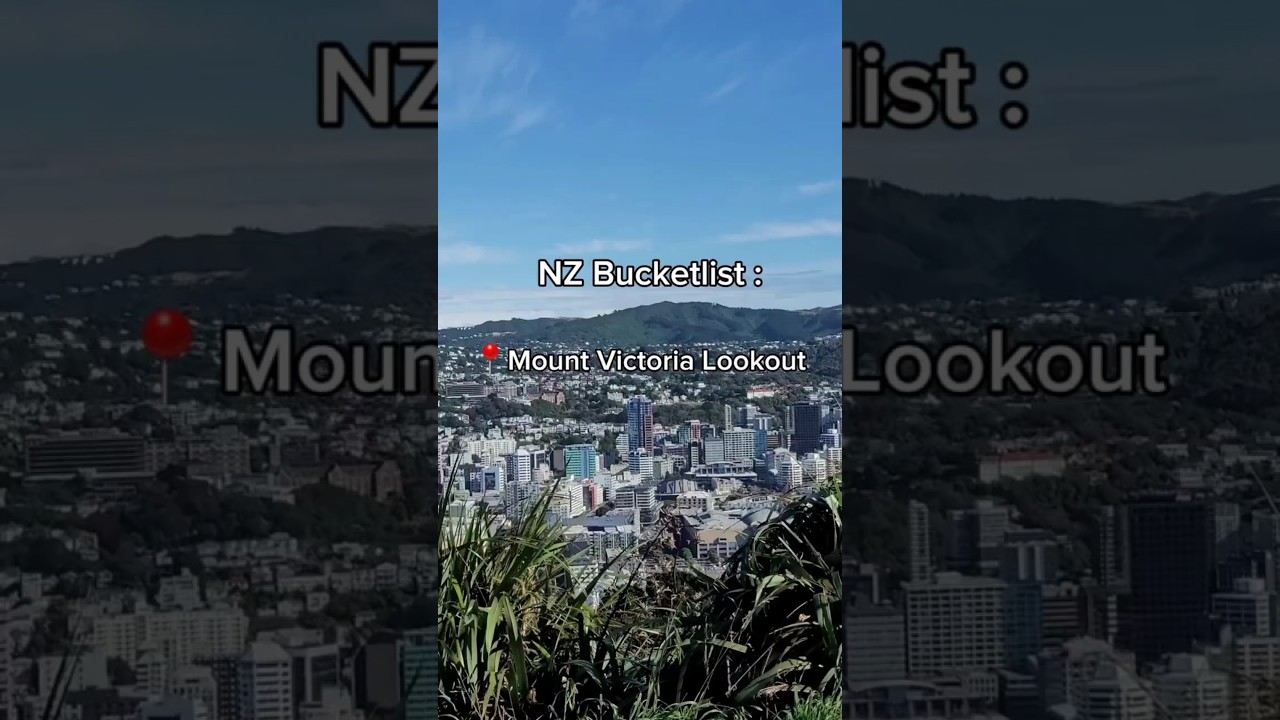 Mount Victoria Lookout - The Easiest Viewpoint in Wellington