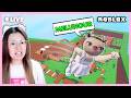 MELUNCUR DI DALAM TOWER ?!! [LAUNCH TOWER ROBLOX INDONESIA]