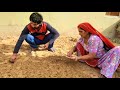 [437] दादी की सब्जियां - Ghar pr sabji ugaye #Village #garden #farm #vegetable