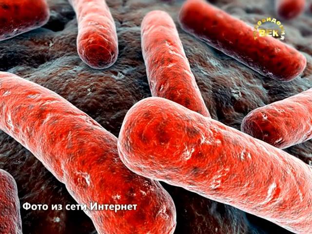 Заражение туберкулезом