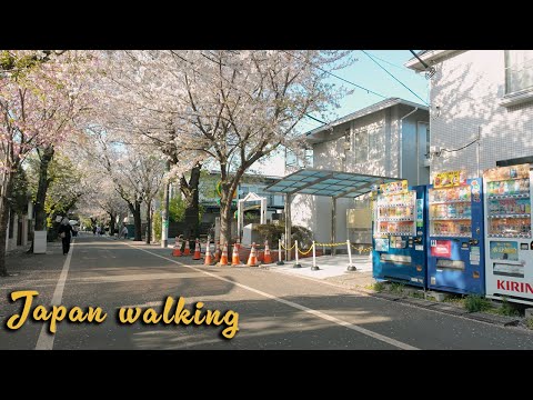 【4K】東京郊外散歩 成城周辺 | 4K Japan Walking Tour