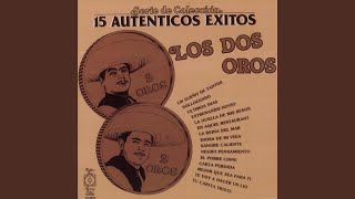 Video thumbnail of "Los Dos Oros - Sollozando"