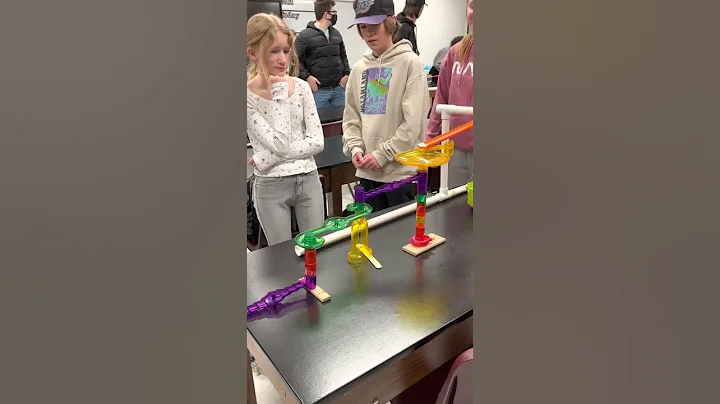 Mr. Mortimer Rube Goldberg Machine