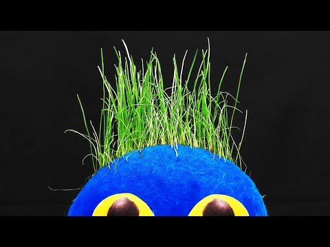 How To Make A Grass Head | DIY