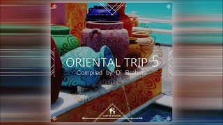 Cafe De Anatolia - Oriental Trip, Vol. 5 (Compiled By Dj Brahms)