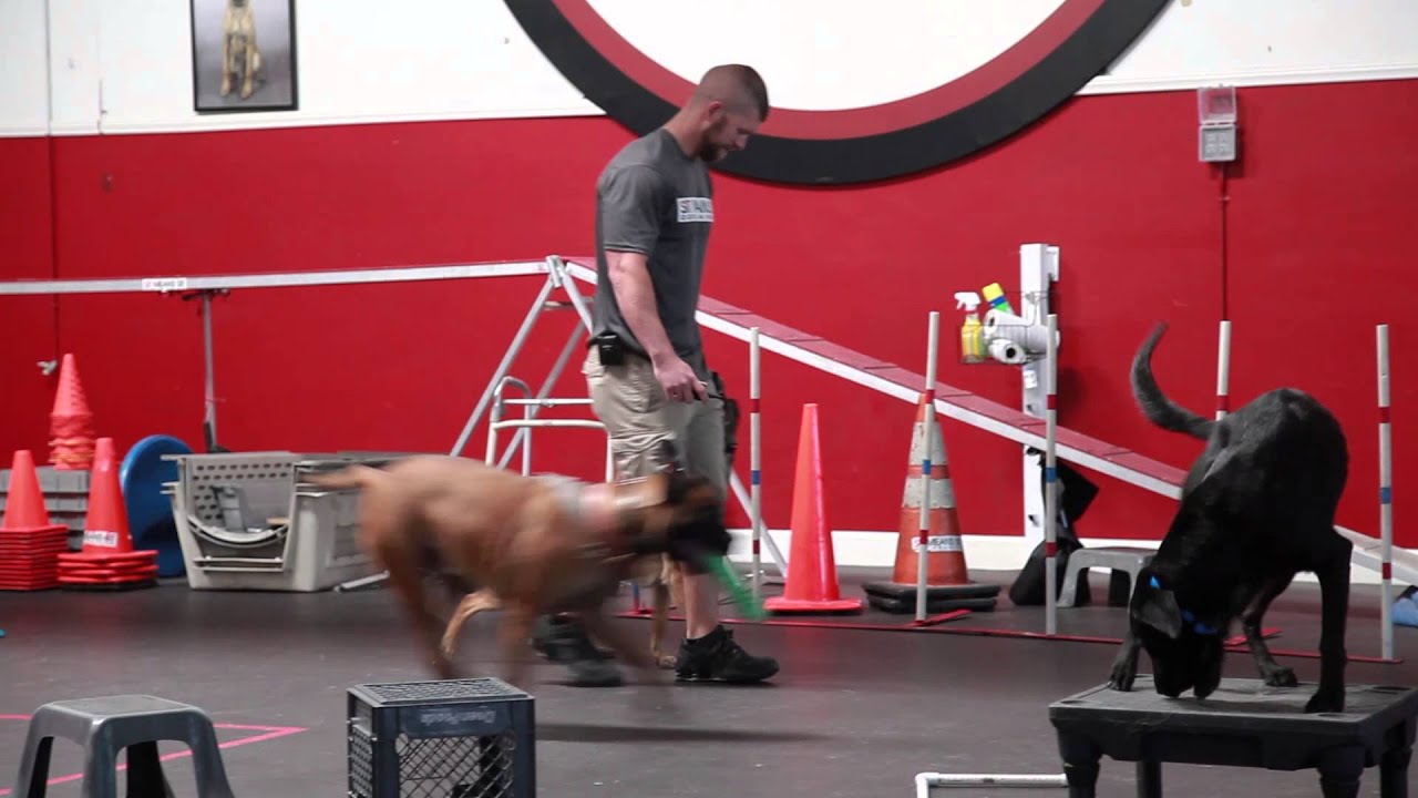 Heads Up Heel with Distraction YouTube