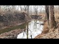 8 acre investment property Exploring the woods is a Bulldozer hiding somewhere? PART 2