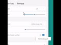 Windows 11 Mouse Button and Speed Setting