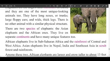 class 7 English unit 19/grade 7 English unit 19