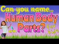 Human Body Parts Quiz