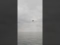 空母かっこいい blender
