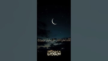 تلاوة من سورة يونس للقارئ/همام بن خالد #اكسبلور #اللهم_صل_وسلم_على_نبينا_محمد #حالات_واتس #راحة_نفسي