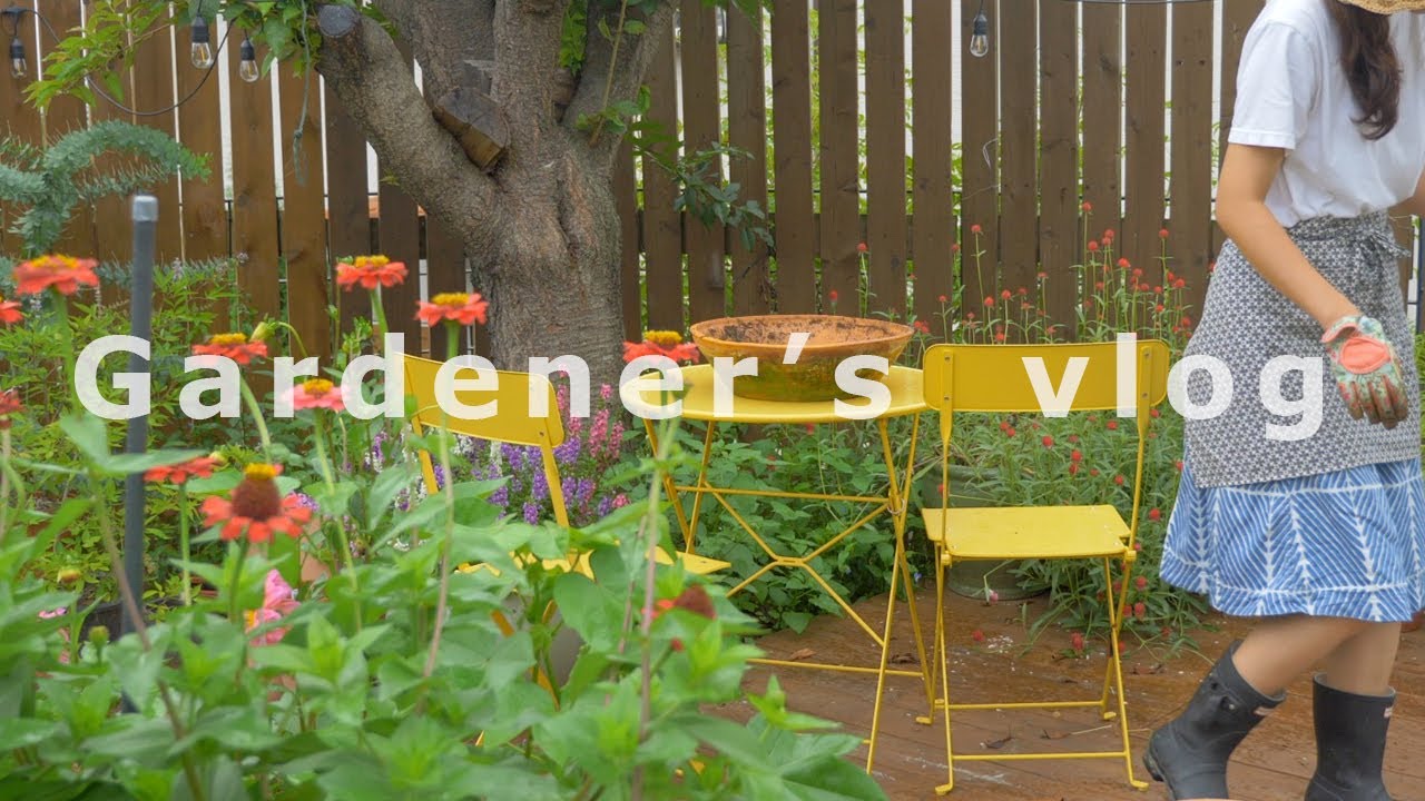 #49 Даже если я не смогу спасти землю, я могу спасти свой сад! Летнее восстановление садоводство 🌿🪴