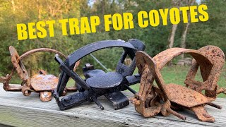 BEST TRAPS FOR COYOTES!!!(#1 BEST TRAP TO BUY)