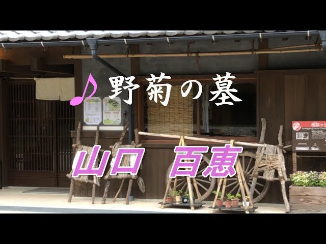 昭和の歌 ♬野菊の墓(山口百恵） - YouTube
