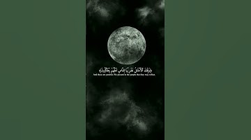 #القارئ #ماهر_المعيقلي #تلاوات #قرآن #راحة_نفسية #قراءة_خاشعة #اكسبلور #دويتو #duet #reels #fyp